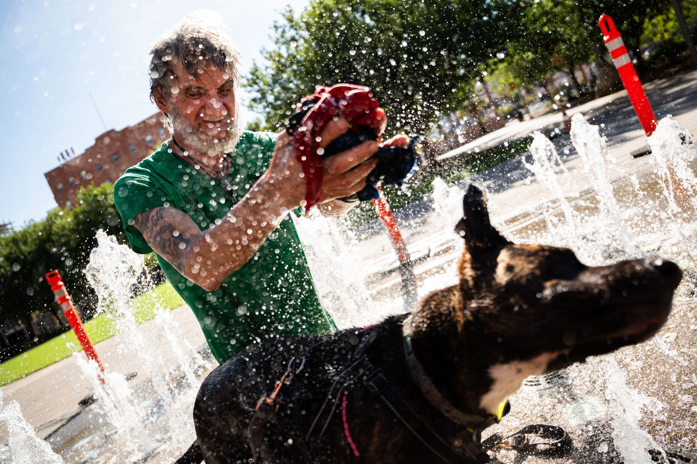 A man rinses off in a splash pad fountain as his dog stands in the spray.